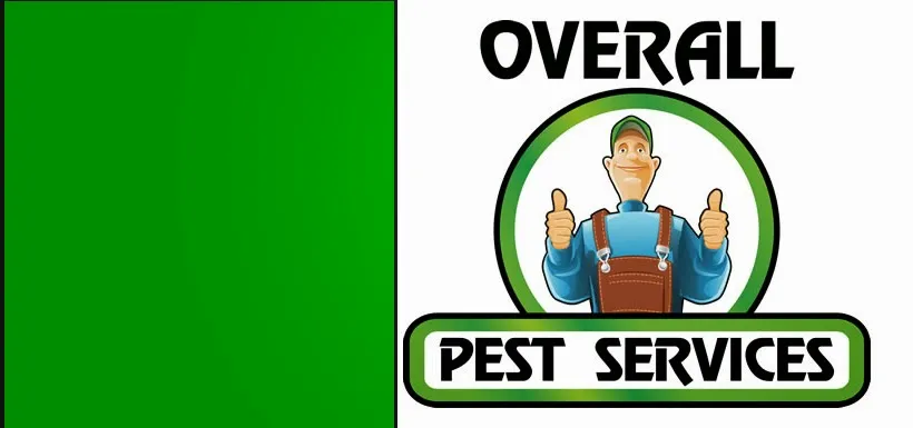 Overall Pest Services in Dallas, TX — business photo 2