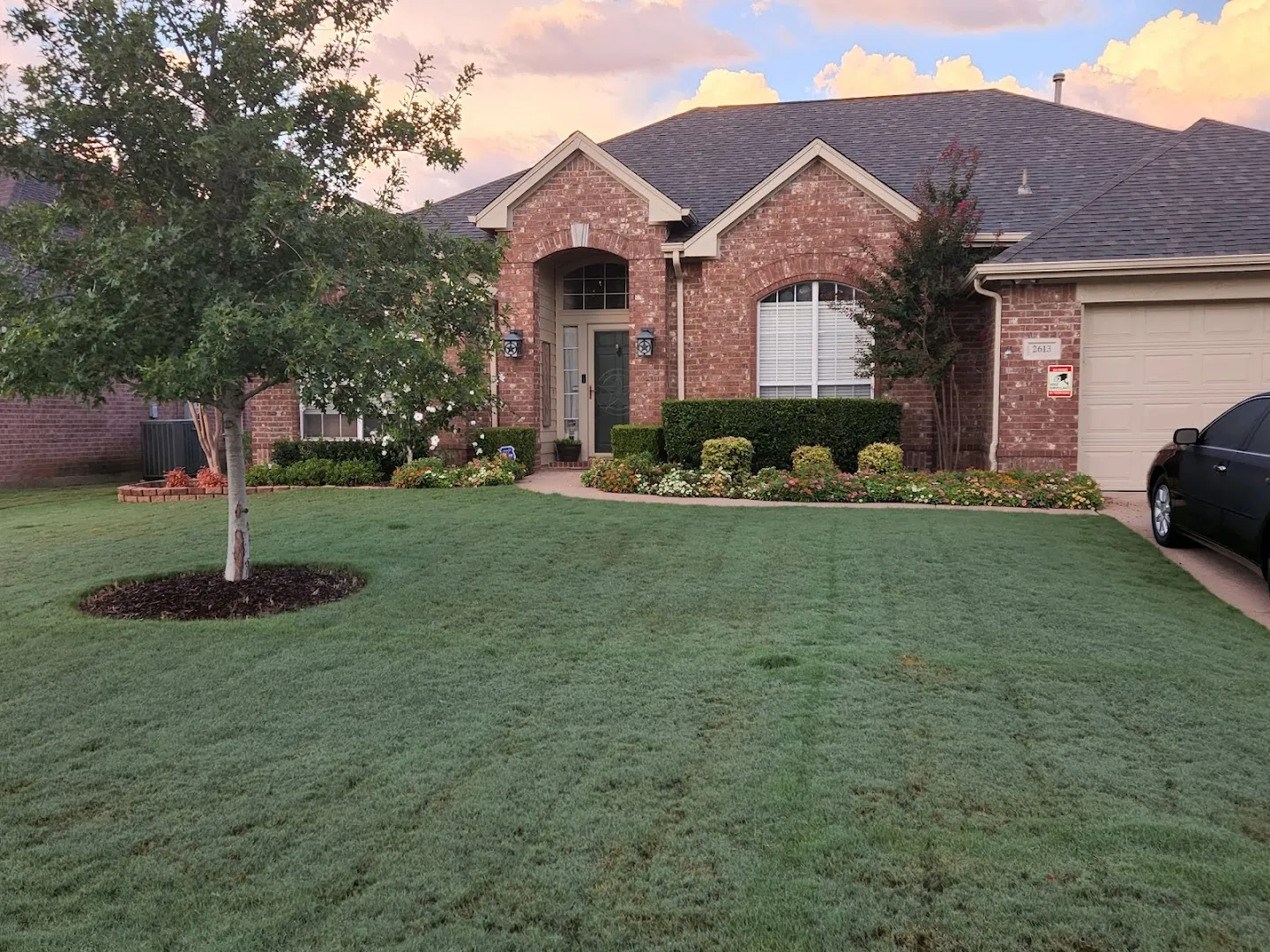 Trees Hurt Too Inc. — pest control in Fort Worth, TARRANT County, TX