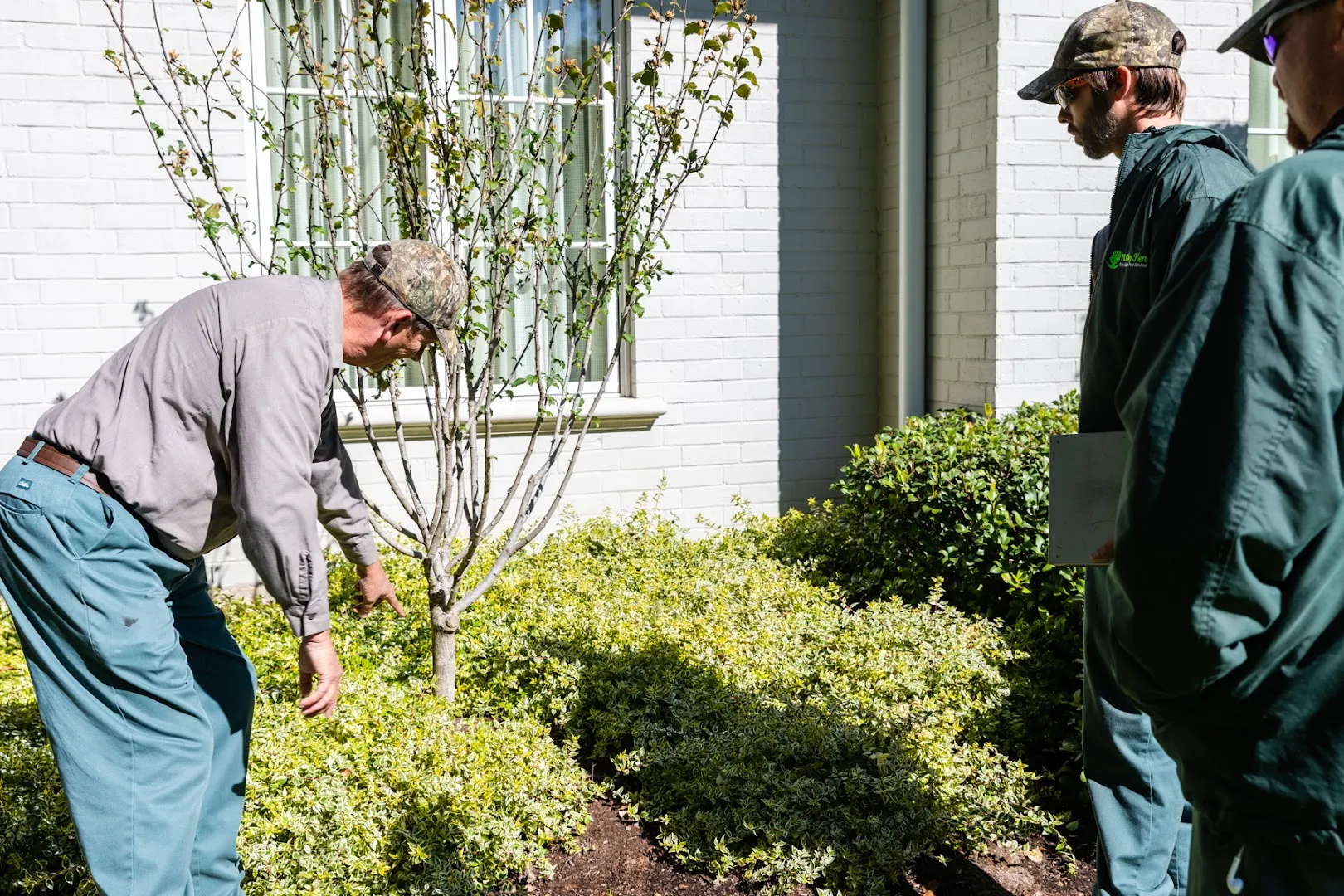 Trees Hurt Too Inc. in Fort Worth, TX — business photo 5