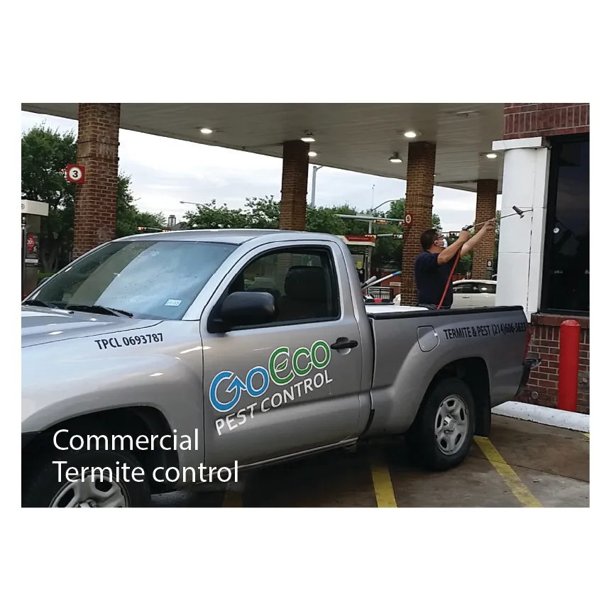 Go Eco Pest Control in Dallas, TX — business photo 5