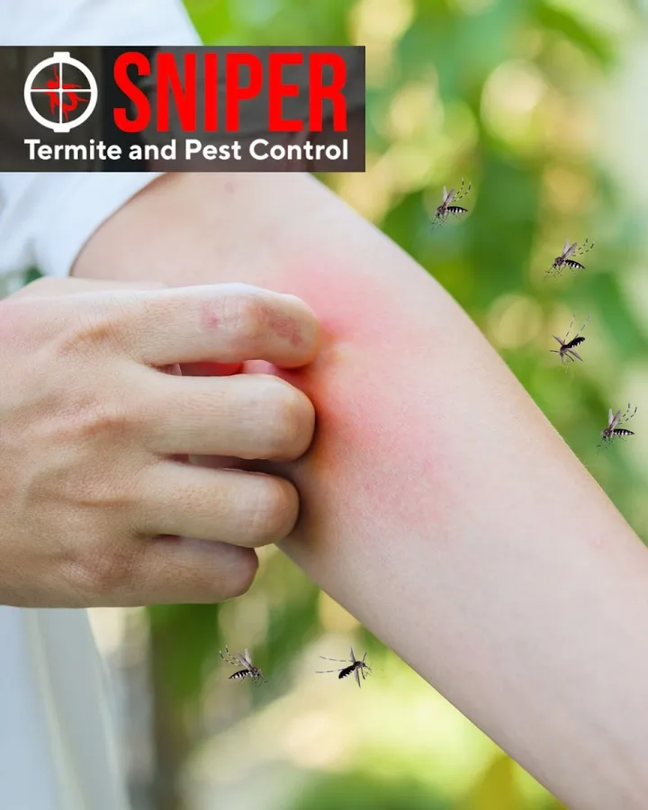 Sniper Termite and Pest Control — pest control in Fort Worth, TARRANT County, TX
