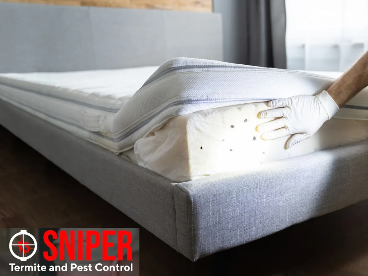 Sniper Termite and Pest Control in Fort Worth, TX — business photo 4
