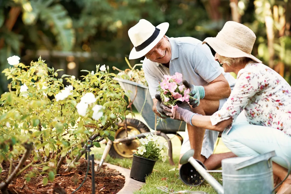 MosquitoNix Fort Worth — pest control in Arlington, TARRANT County, TX