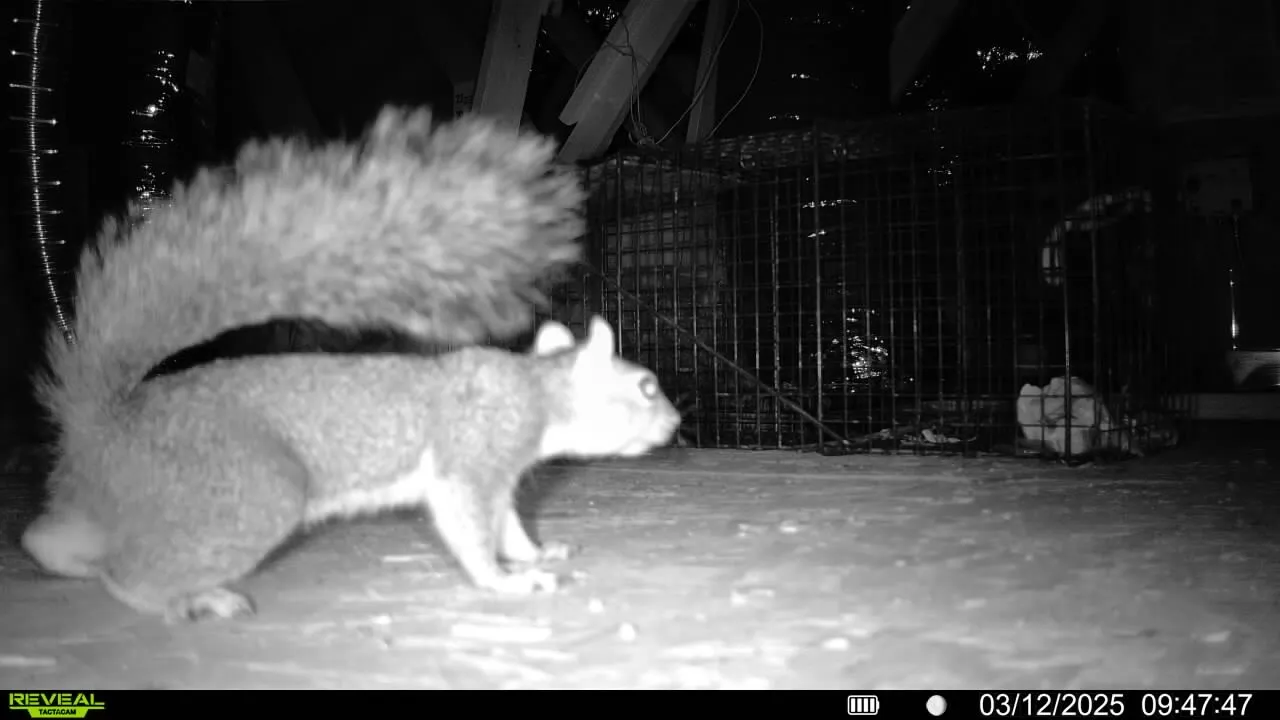 EcoPro Services, LLC in Austin, TX — business photo 2