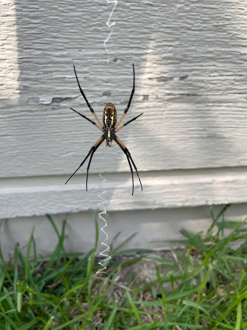 EcoPro Services, LLC in Austin, TX — business photo 3