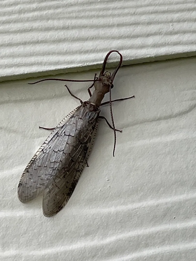 EcoPro Services, LLC in Austin, TX — business photo 5