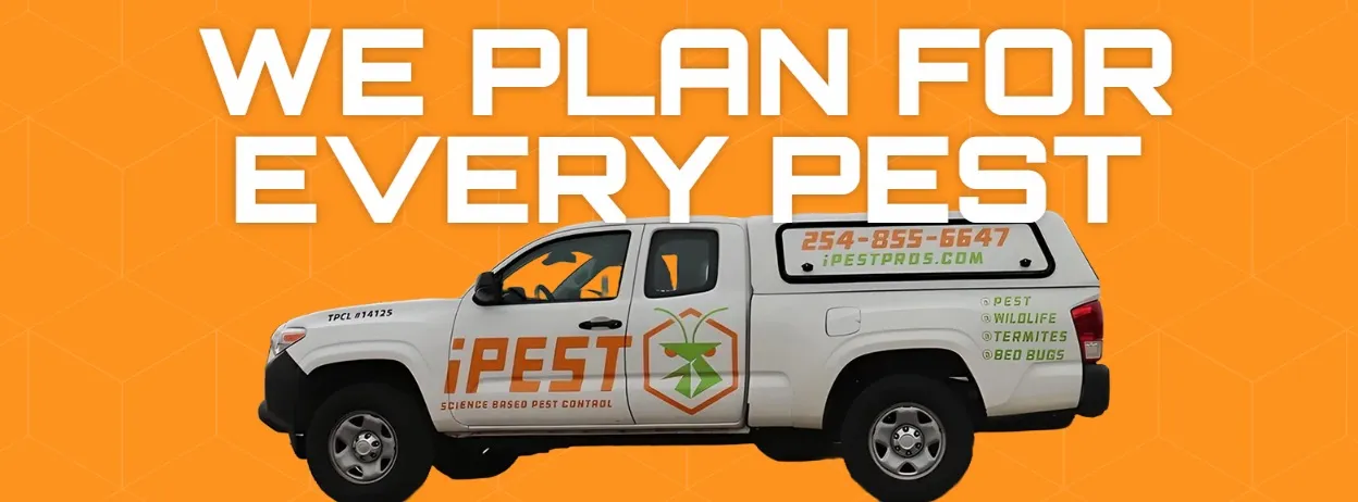 iPest Solutions — pest control in Waco, MCLENNAN County, TX