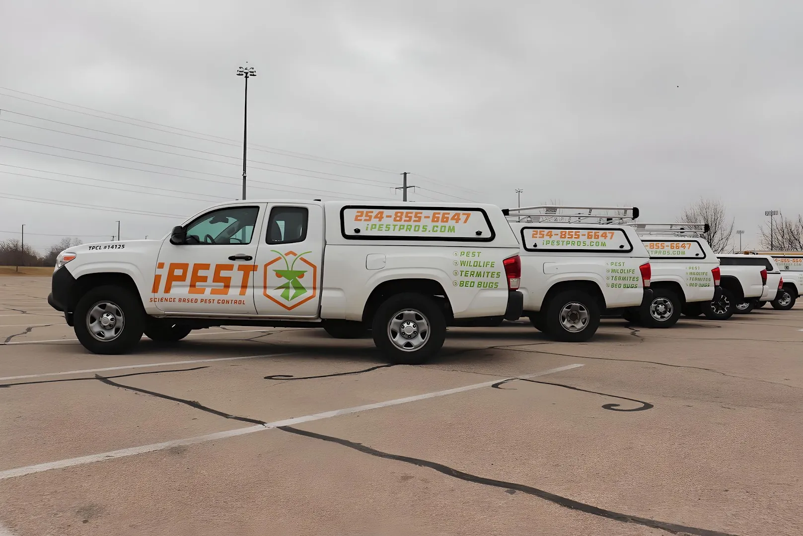 iPest Solutions in Waco, TX — business photo 3