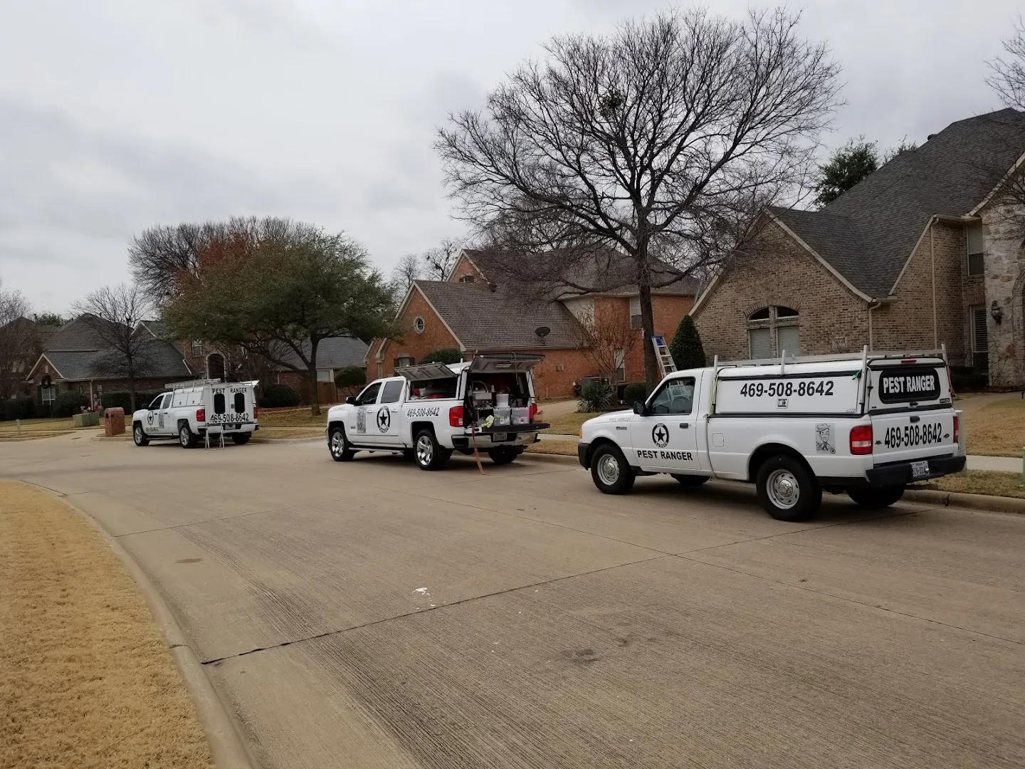 Pest Ranger in Denton, TX — business photo 3