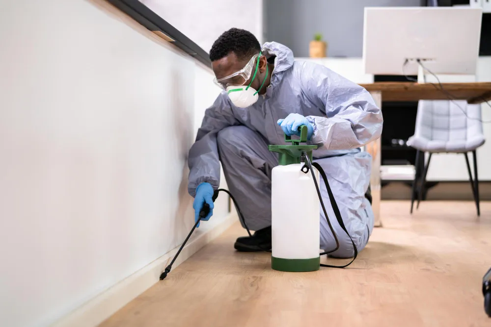 T&C Pest Solutions in Paris, TX — business photo 3