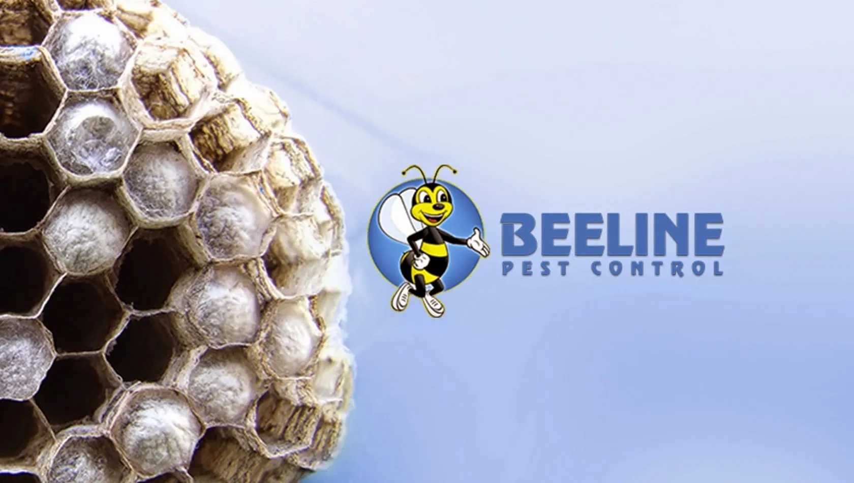 Beeline Pest Control Texas — pest control in Seguin, GUADALUPE County, TX