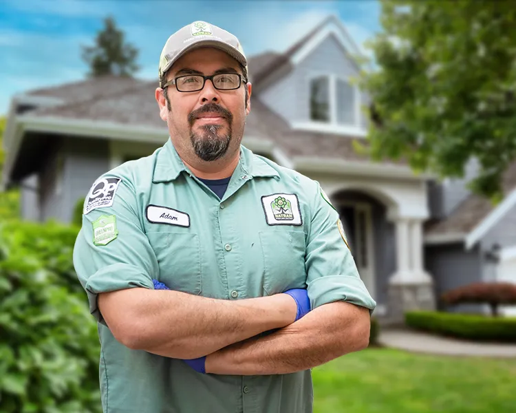 Natran Green Pest Control — pest control in Houston, HARRIS County, TX
