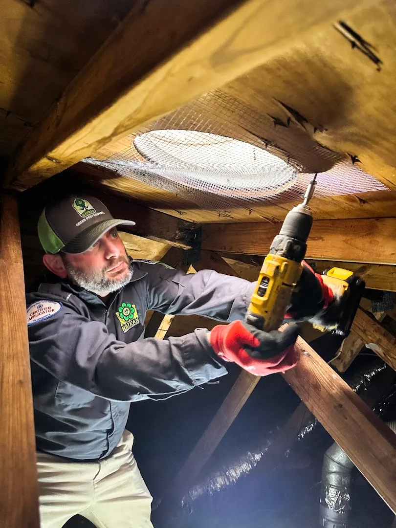 Natran Green Pest Control in Houston, TX — business photo 6