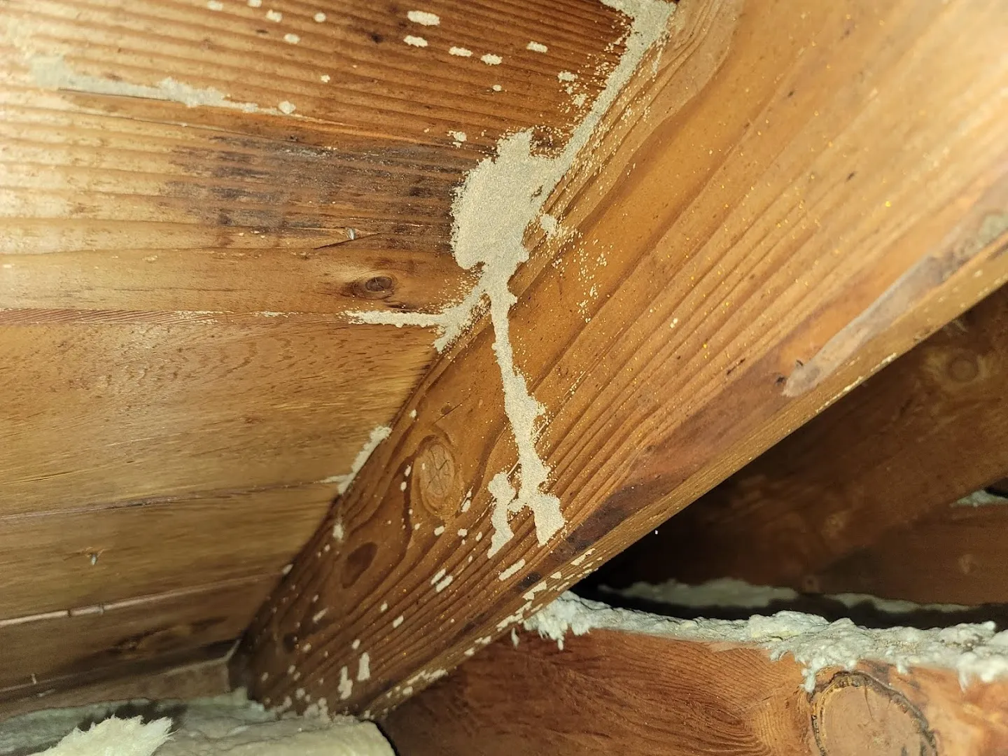 Old Reliable Pest Control in Houston, TX — business photo 2