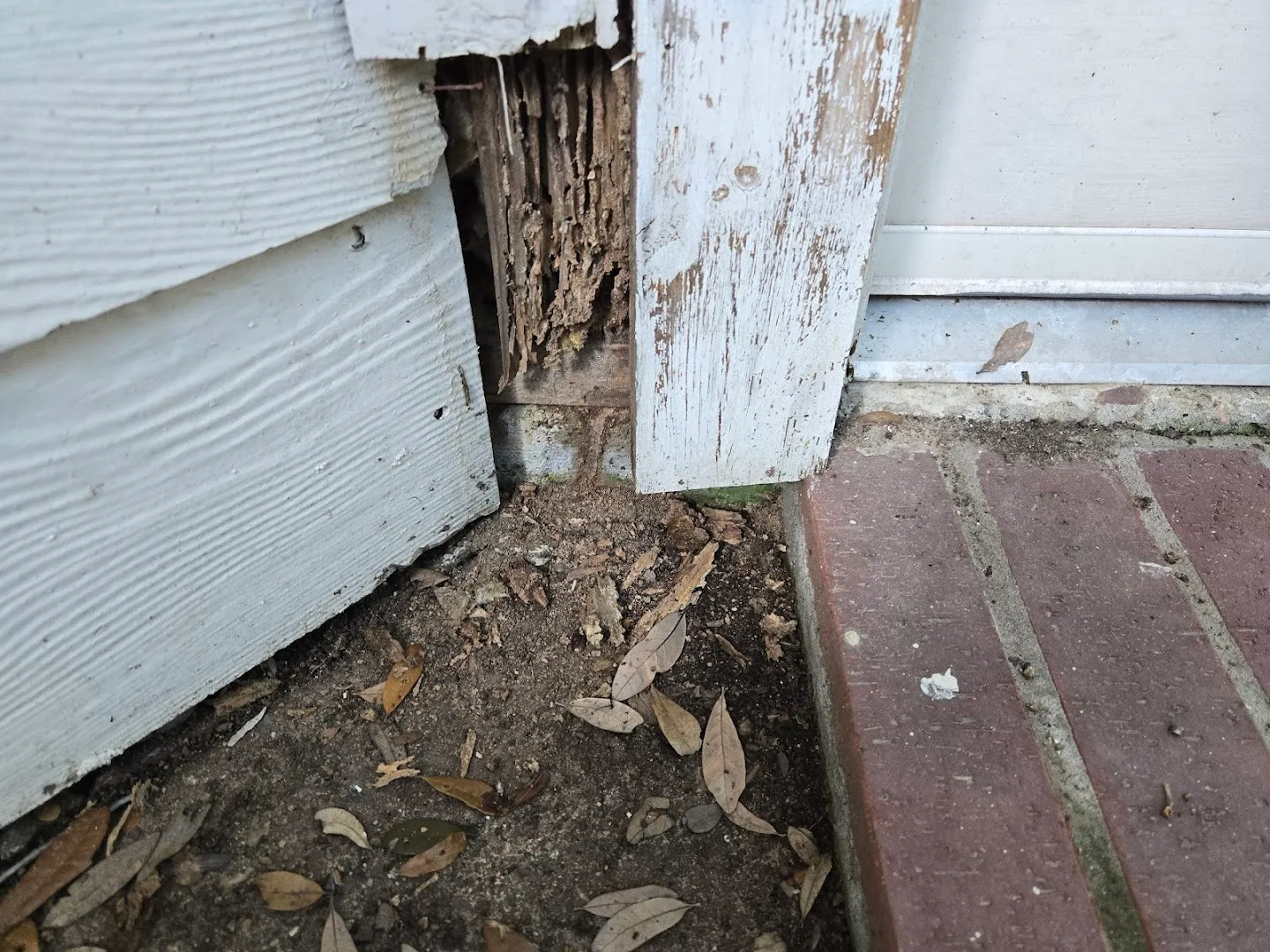 Old Reliable Pest Control in Houston, TX — business photo 5