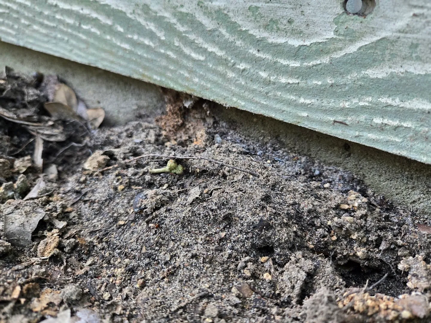 Old Reliable Pest Control in Houston, TX — business photo 6