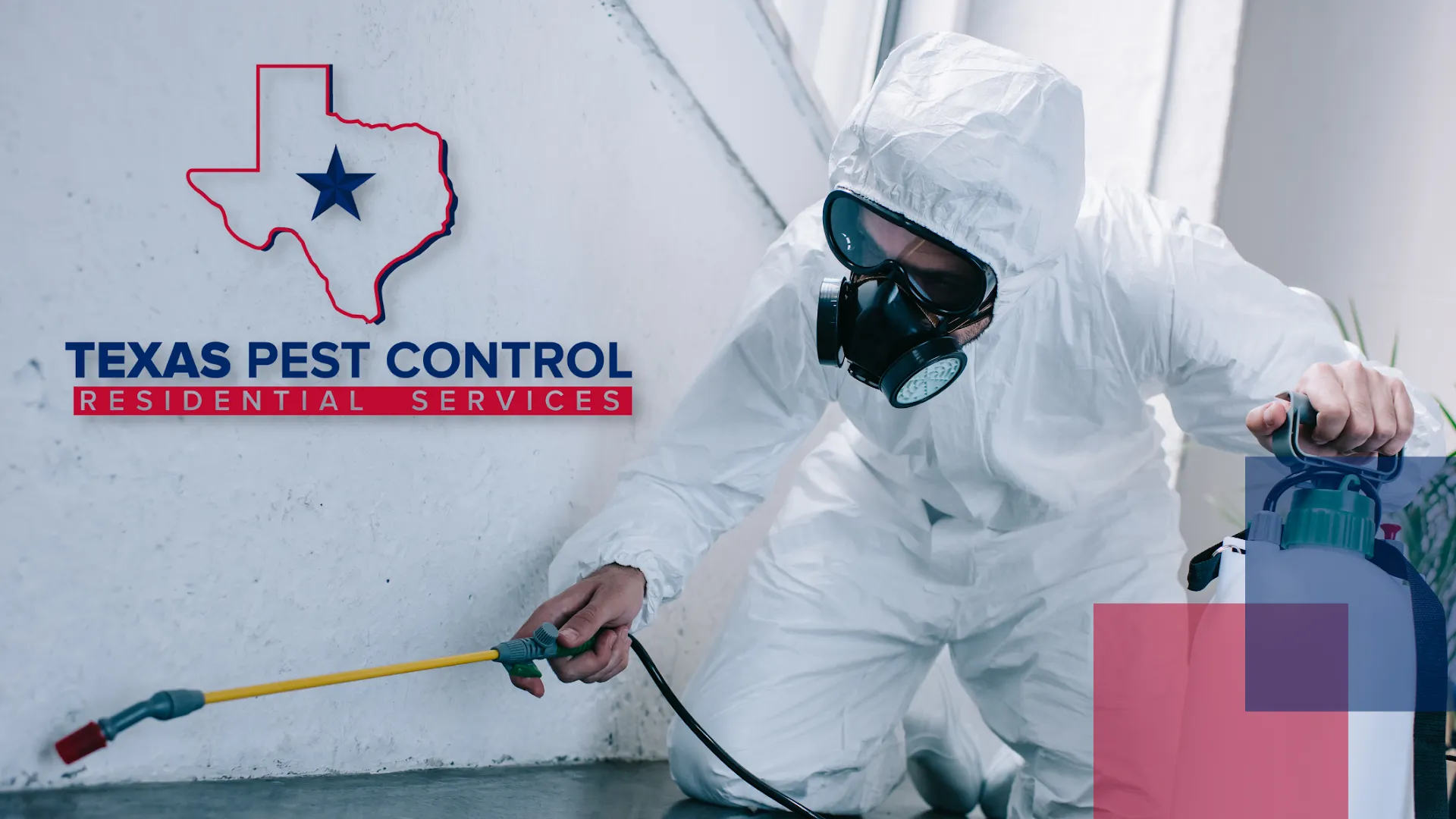Texas Pest Control in San Antonio, TX — business photo 2