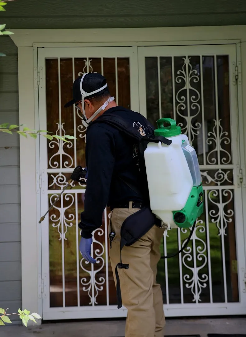 Tactical Pest Control — pest control in McKinney, COLLIN County, TX