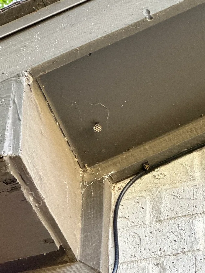 White Knight Pest Control in Arlington, TX — business photo 4