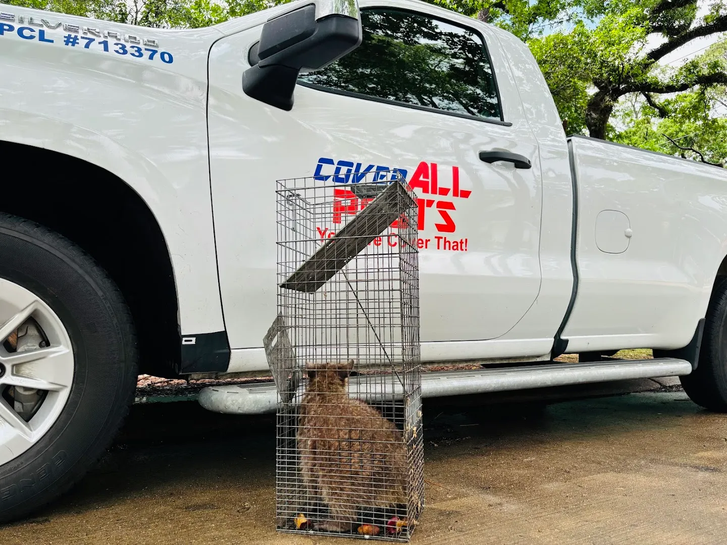 CoverAll Pests in Houston, TX — business photo 4