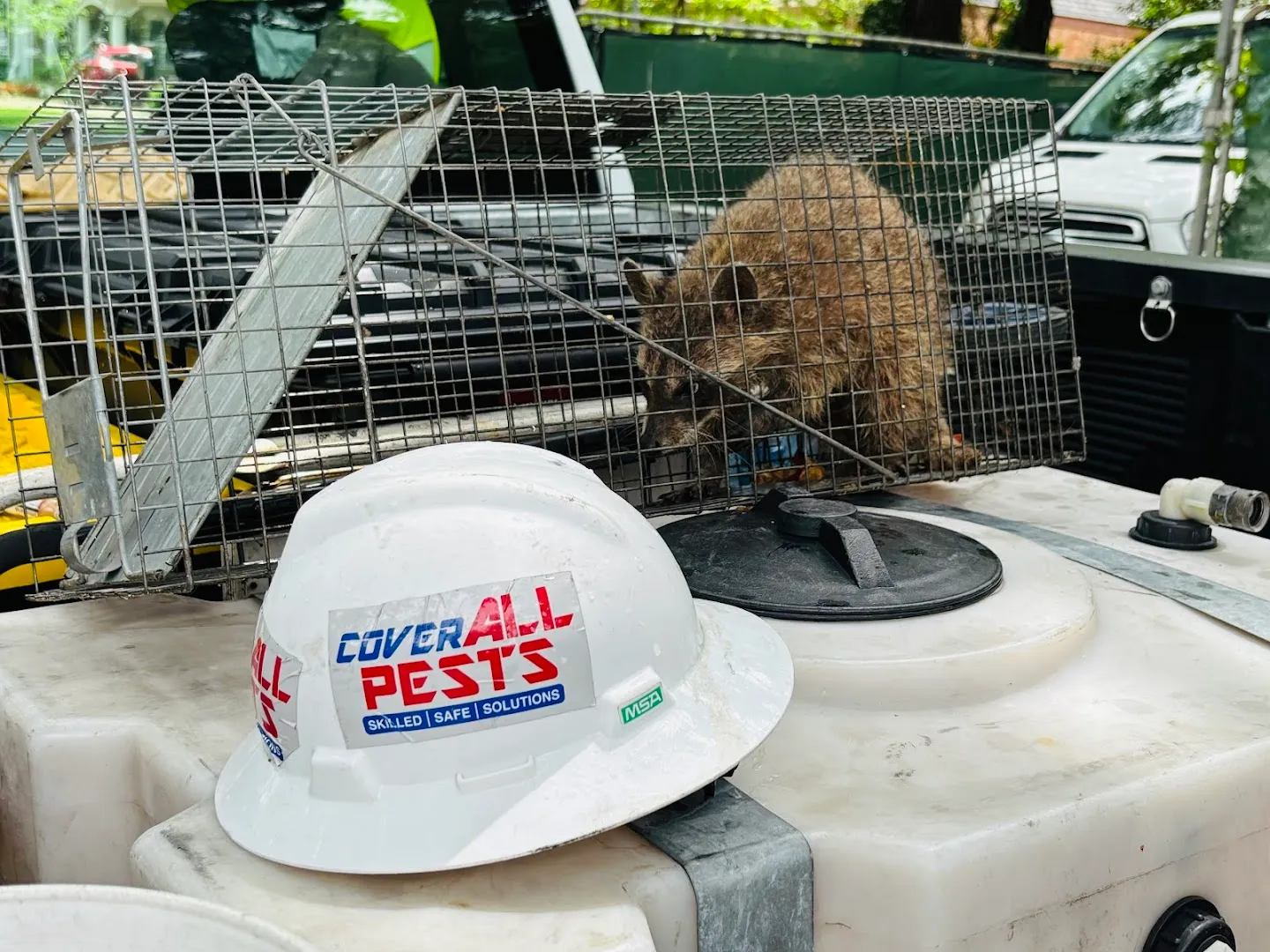 CoverAll Pests in Houston, TX — business photo 6