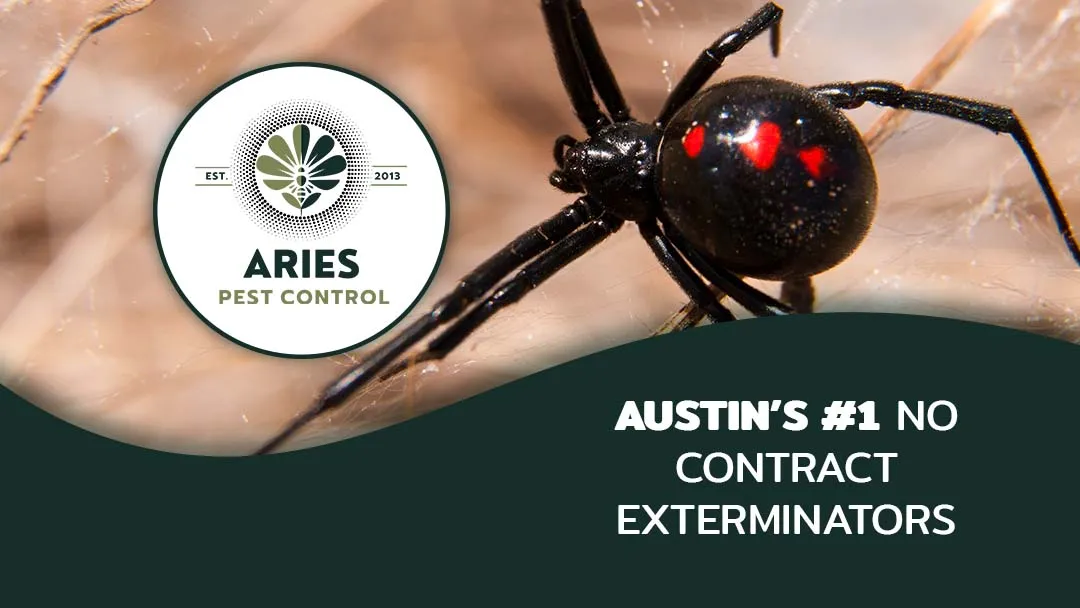 Aries Pest Control in Georgetown, TX — business photo 2
