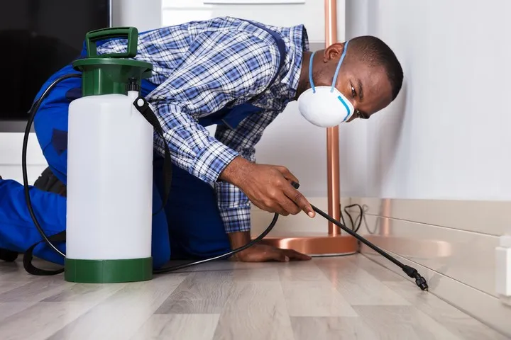 Aries Pest Control in Georgetown, TX — business photo 5