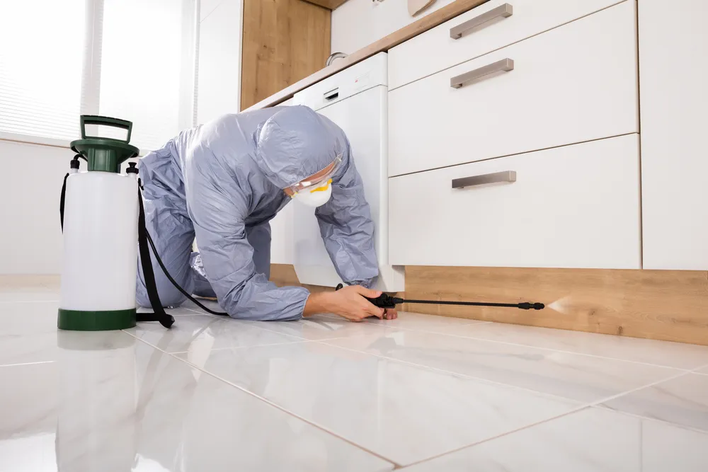 Aries Pest Control in Georgetown, TX — business photo 6