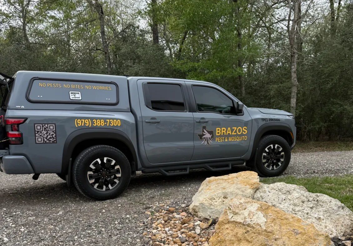 Brazos Pest & Mosquito — pest control in Bryan, BRAZOS County, TX