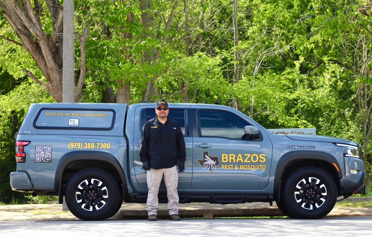 Brazos Pest & Mosquito in Bryan, TX — business photo 2