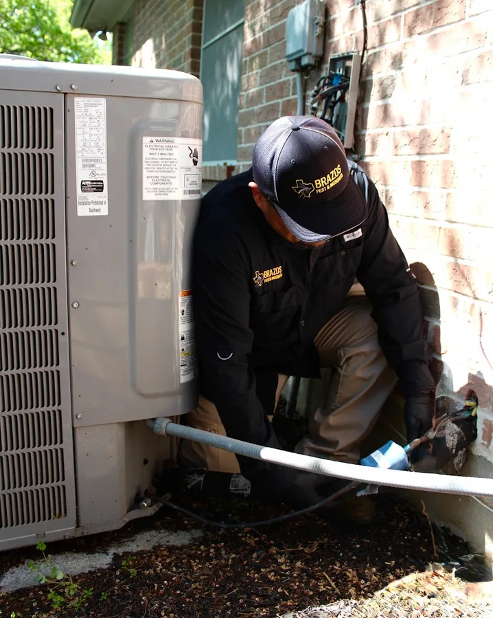 Brazos Pest & Mosquito in Bryan, TX — business photo 4
