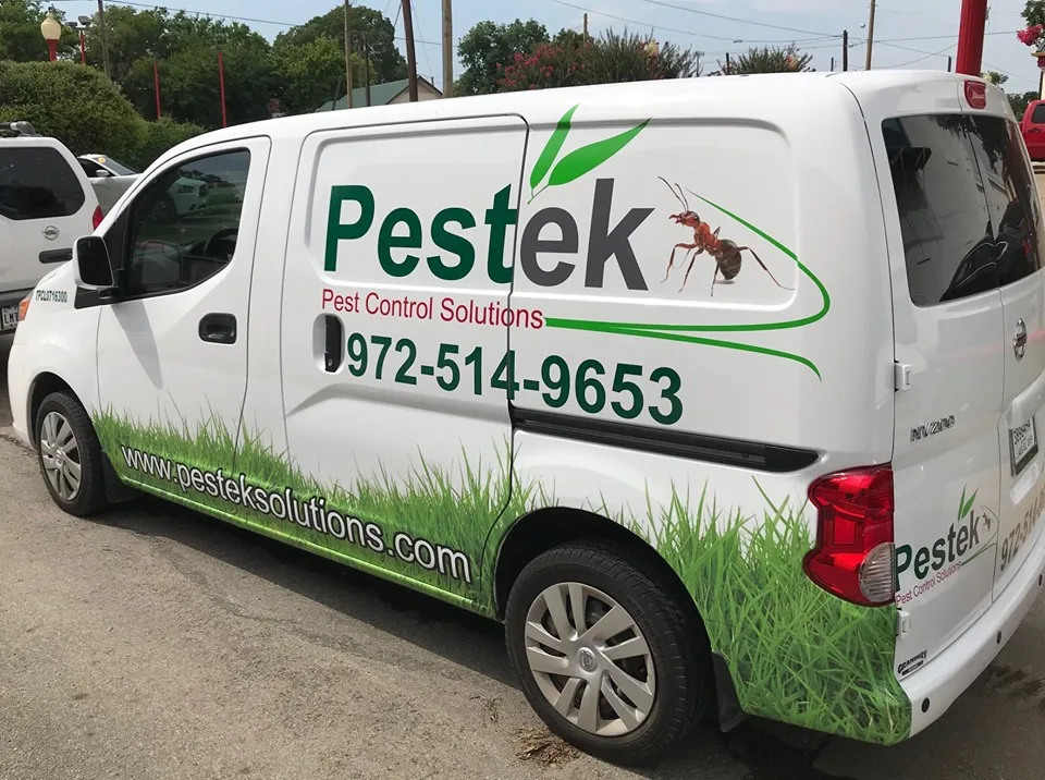 Pestek Pest Control Solutions — pest control in Waxahachie, ELLIS County, TX