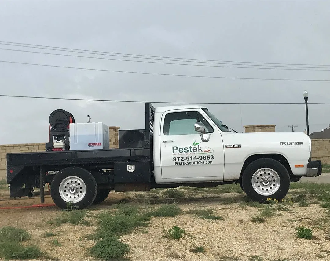 Pestek Pest Control Solutions in Waxahachie, TX — business photo 3
