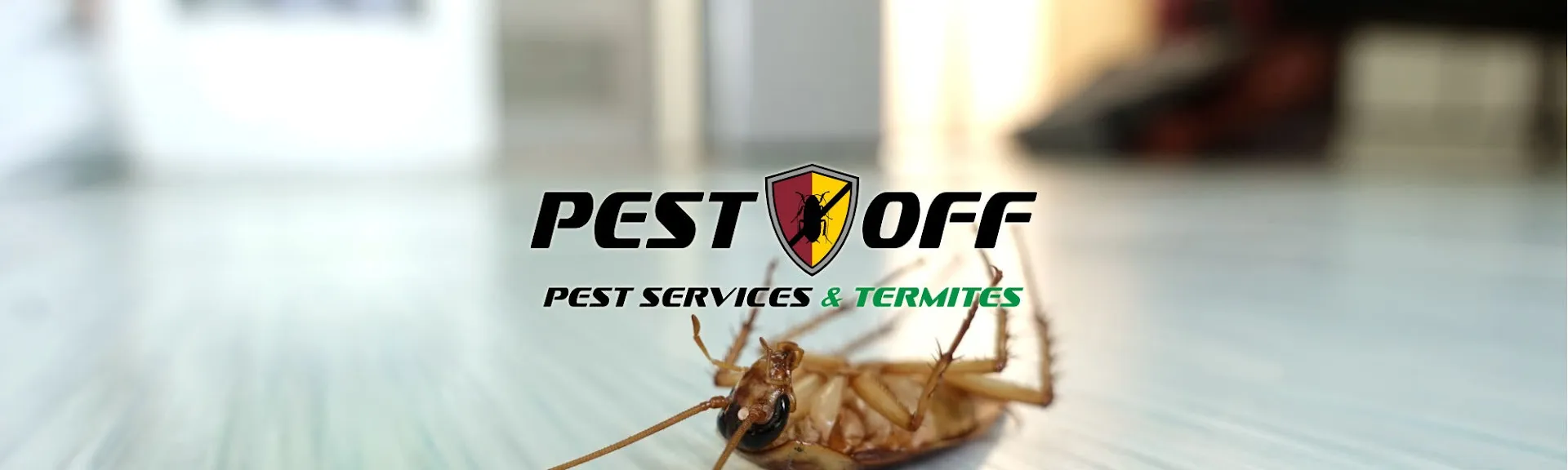 Pest Off Pest Services & Termites — pest control in Sherman, GRAYSON County, TX