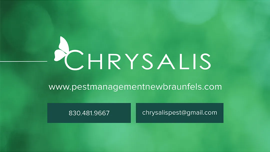 Chrysalis Pest Management in New Braunfels, TX — business photo 3
