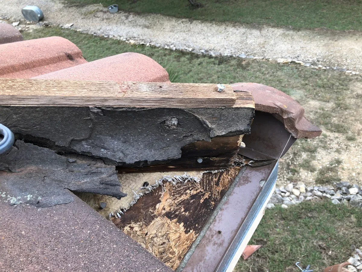Varmint Masters Wildlife Removal & Pest Control in Bulverde, TX — business photo 6