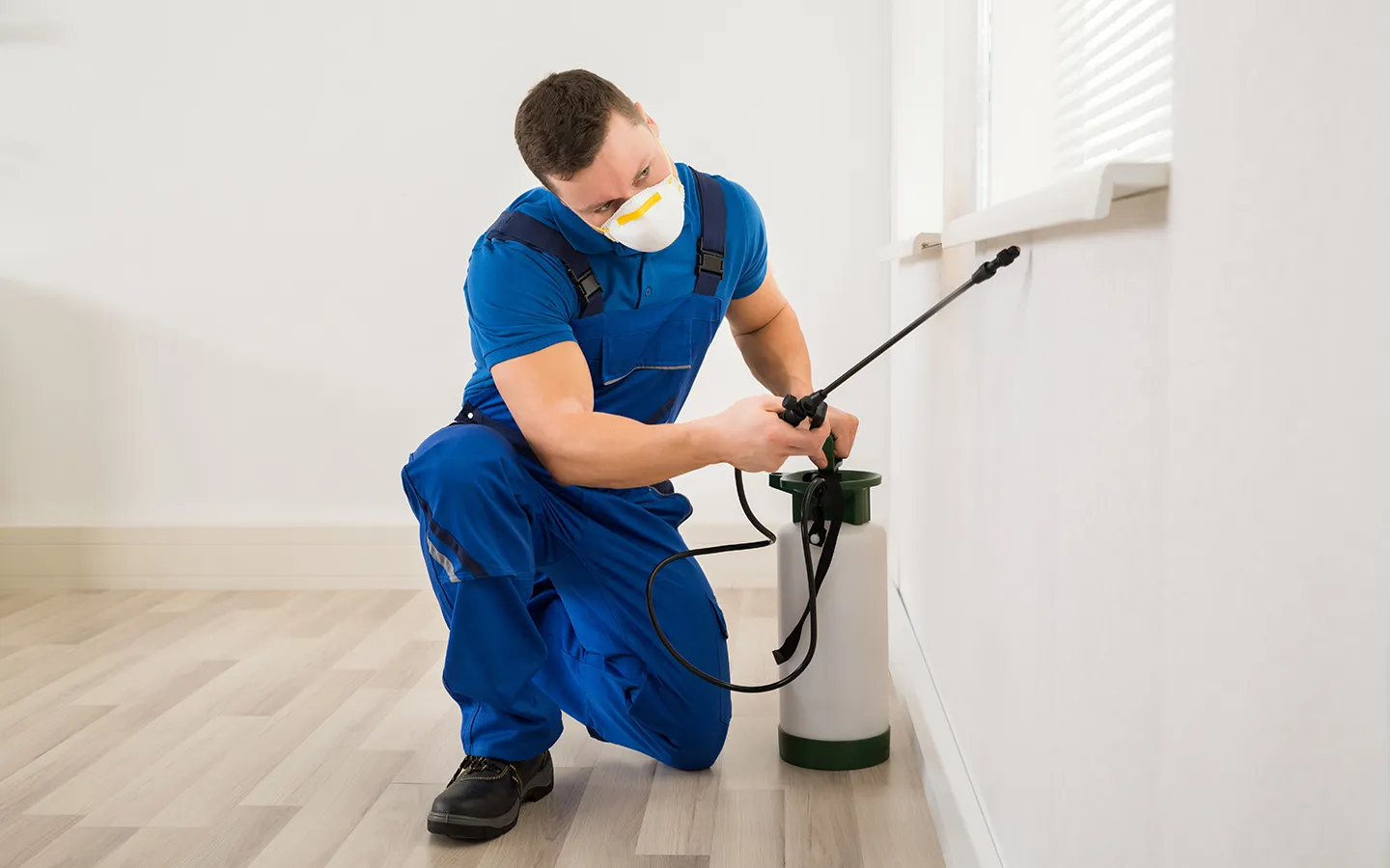 Infestaway Pest Control in Palestine, TX — business photo 5