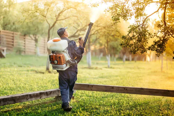 Infestaway Pest Control in Palestine, TX — business photo 6