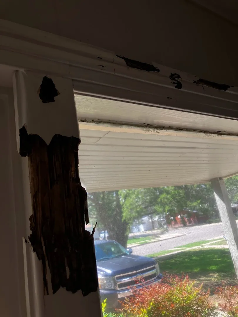 Zeroach Pest & Termite in Lubbock, TX — business photo 2