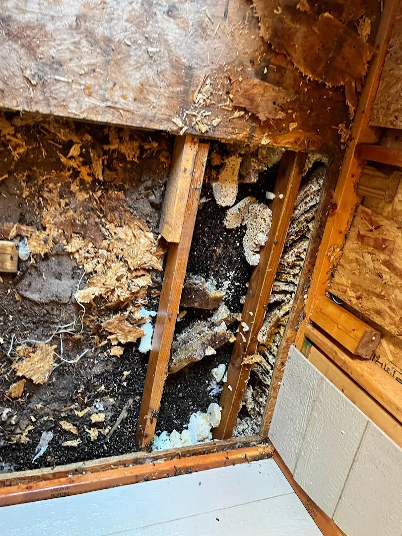 Zeroach Pest & Termite in Lubbock, TX — business photo 3