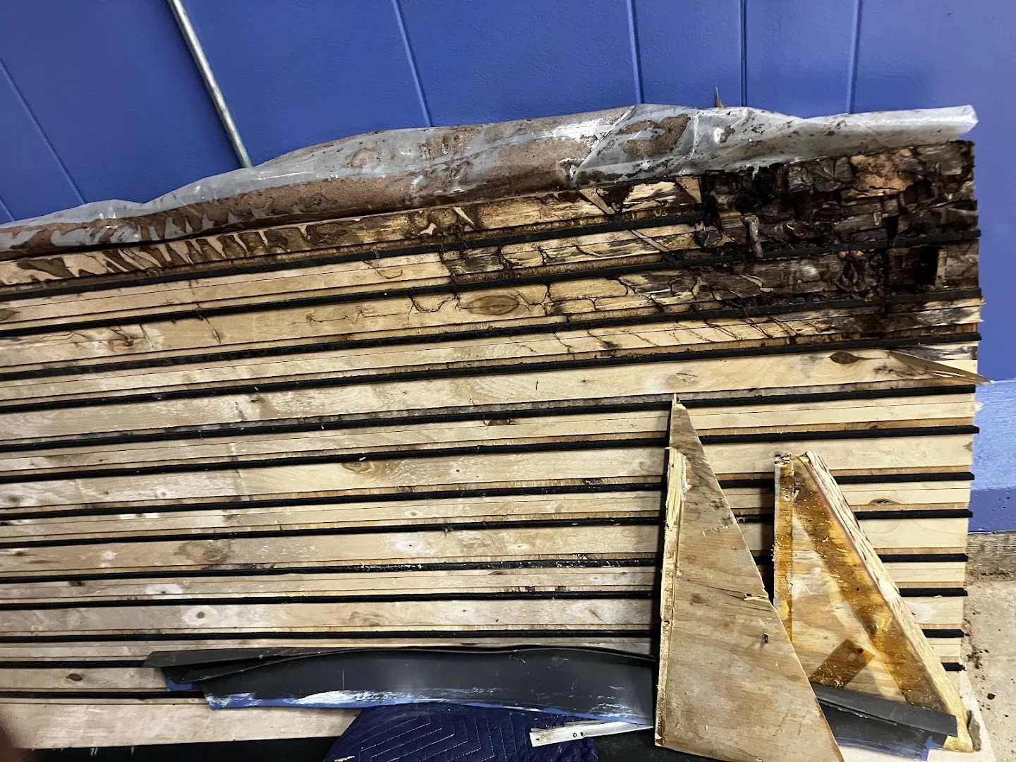 Zeroach Pest & Termite in Lubbock, TX — business photo 5