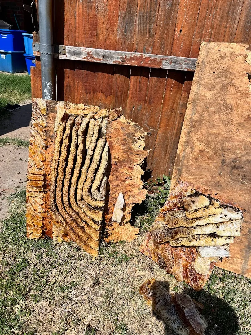 Zeroach Pest & Termite in Lubbock, TX — business photo 6