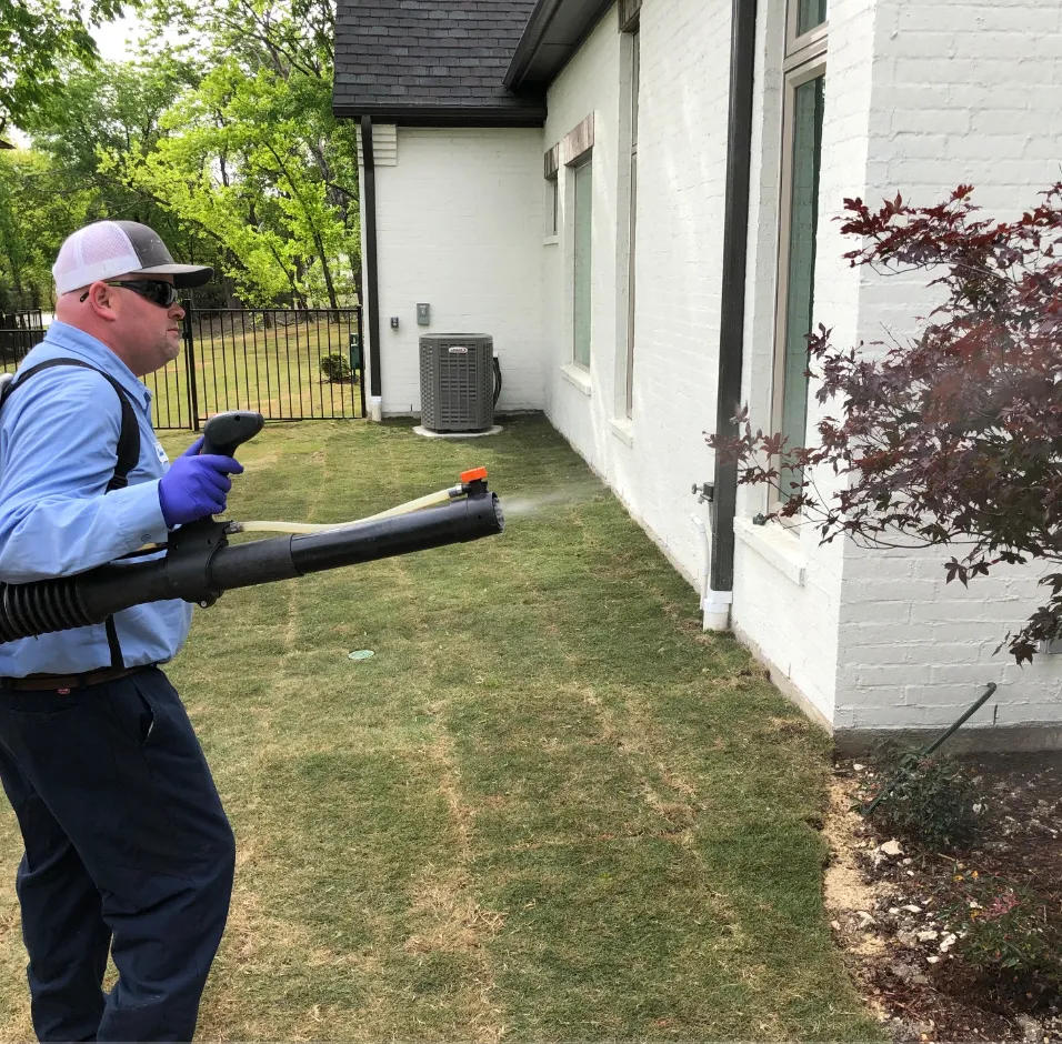 Romex Pest & Termite Control San Antonio in San Antonio, TX — business photo 4