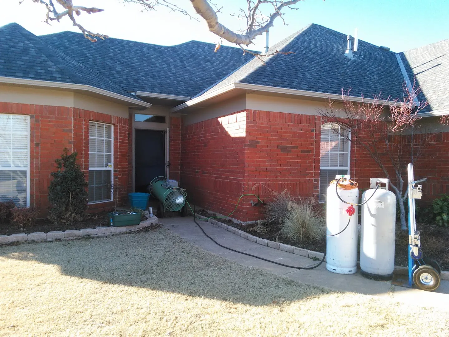 Point Blank Pest Solutions in Georgetown, TX — business photo 3