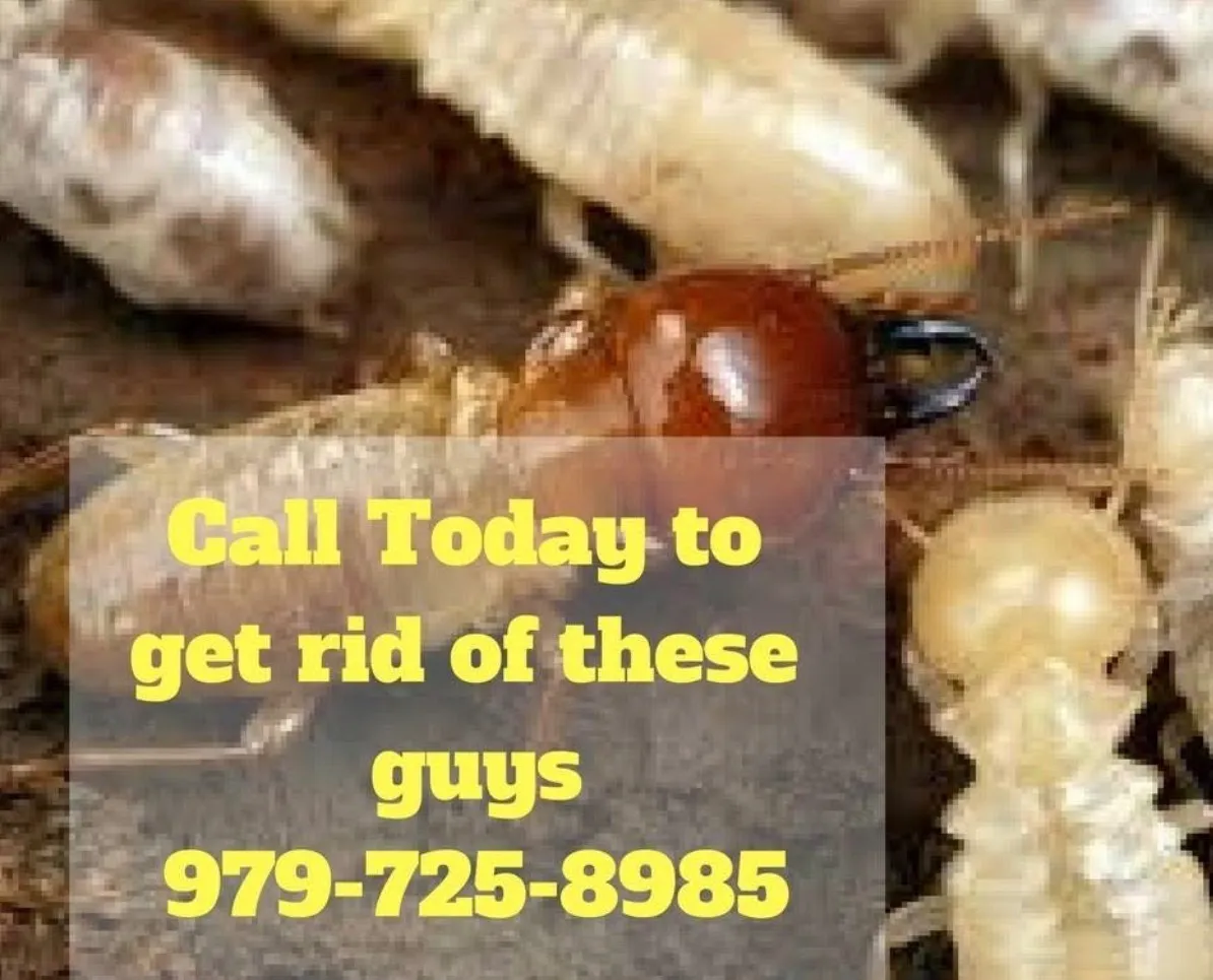 Kainer Pest Control in Columbus, TX — business photo 3