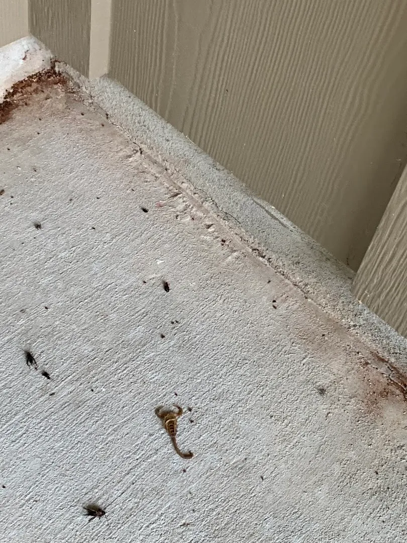 Turner Pest Control in Greenville, TX — business photo 3