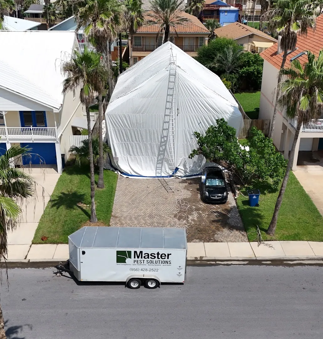 Master Pest Solutions in Brownsville, TX — business photo 3