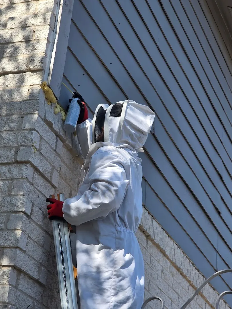 Superior Pest Control, LLC — pest control in Brownsville, CAMERON County, TX