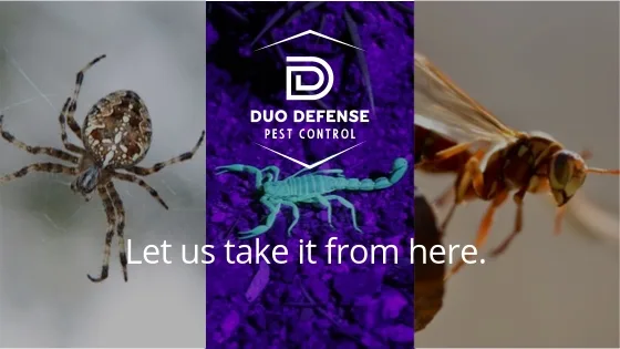 Duo Defense Pest Control — pest control in Round Rock, WILLIAMSON County, TX