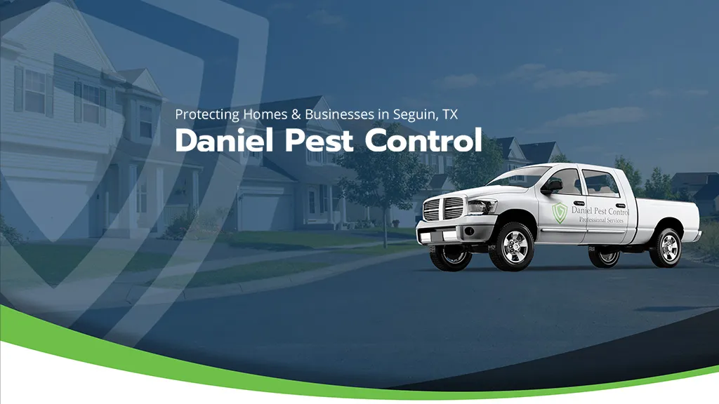 Daniel Pest Control — pest control in Seguin, GUADALUPE County, TX